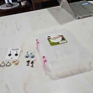 Assorted Earrings with Storage Box